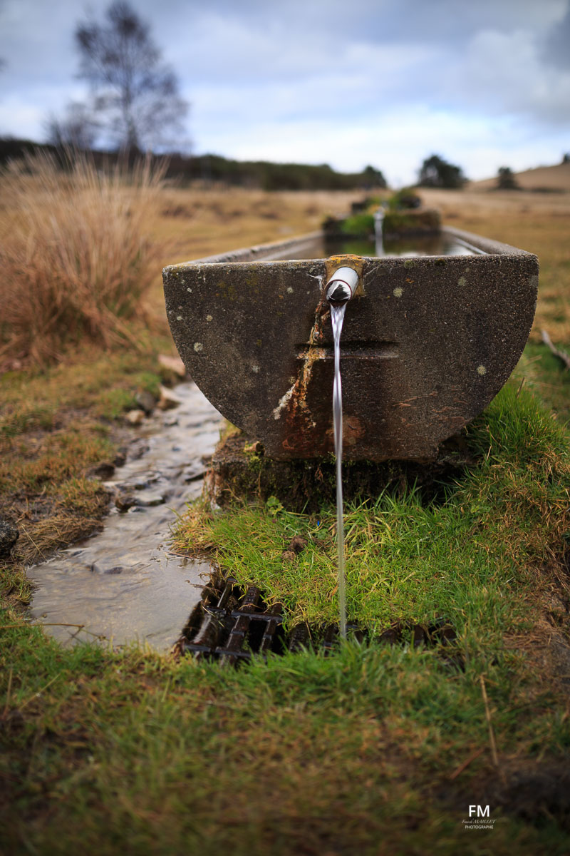 De l'eau pour la vue