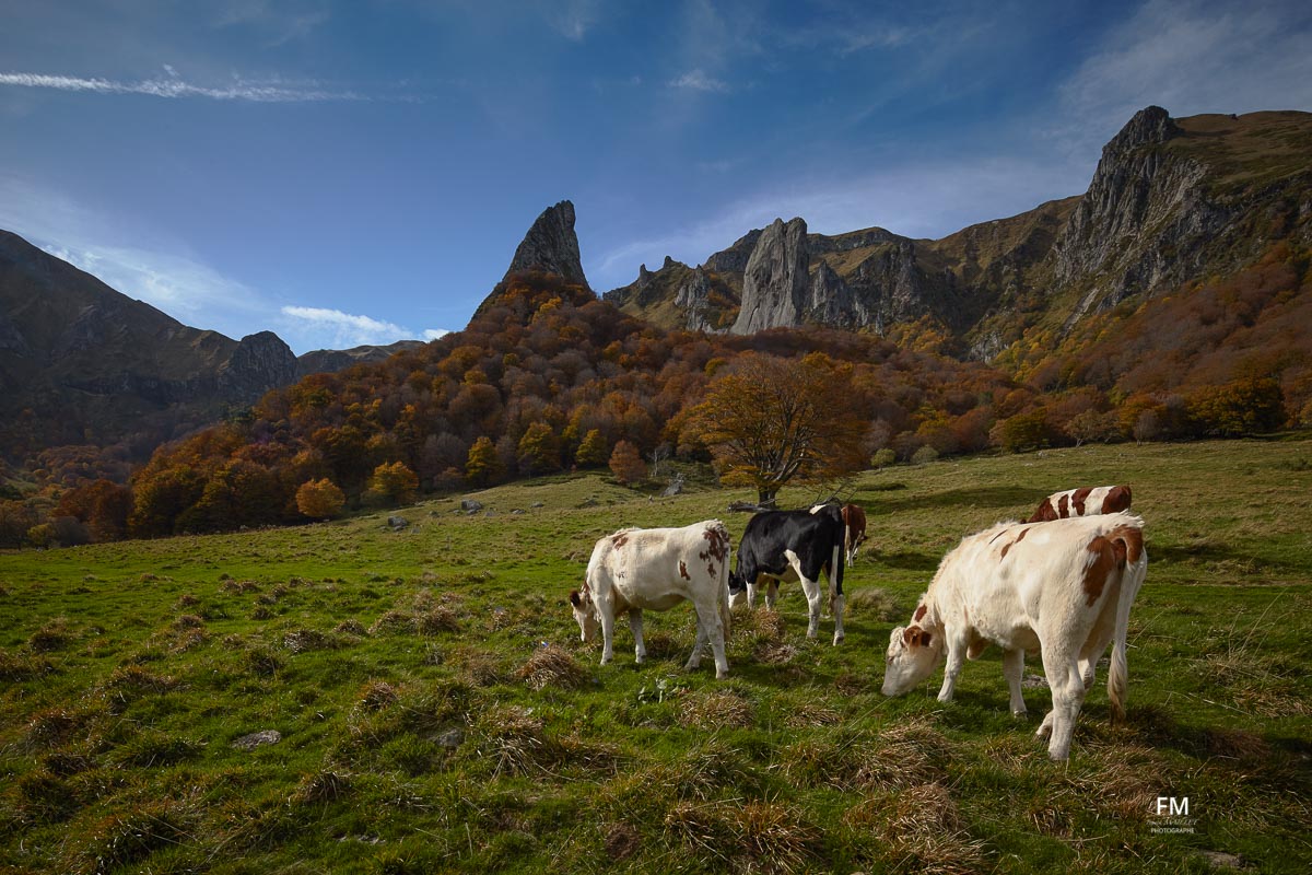 Vallée de Chaudefour